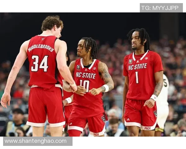 老鹰队战胜热火,晋级季后赛,球迷狂欢庆祝胜利 老鹰队战胜热火,晋级季后赛,球迷狂欢庆祝胜利