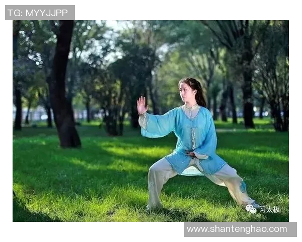 探索洪均生陈式太极拳的深厚文化底蕴与独特技艺传承之路 探索洪均生陈式太极拳的深厚文化底蕴与独特技艺传承之路