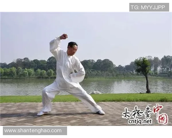 探索王西安太极拳的深厚文化底蕴与现代健身价值