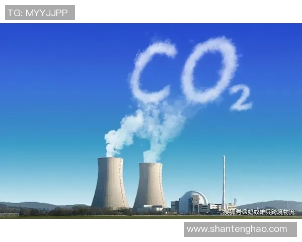 欧盟碳边境税立法即将出台，引起全球进口商担忧